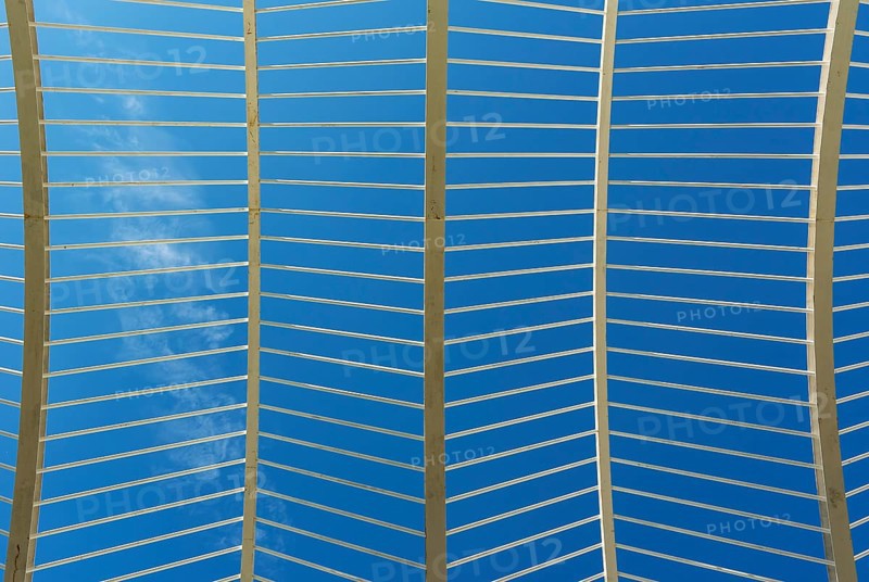 Close-up of canopy of the Umbracle