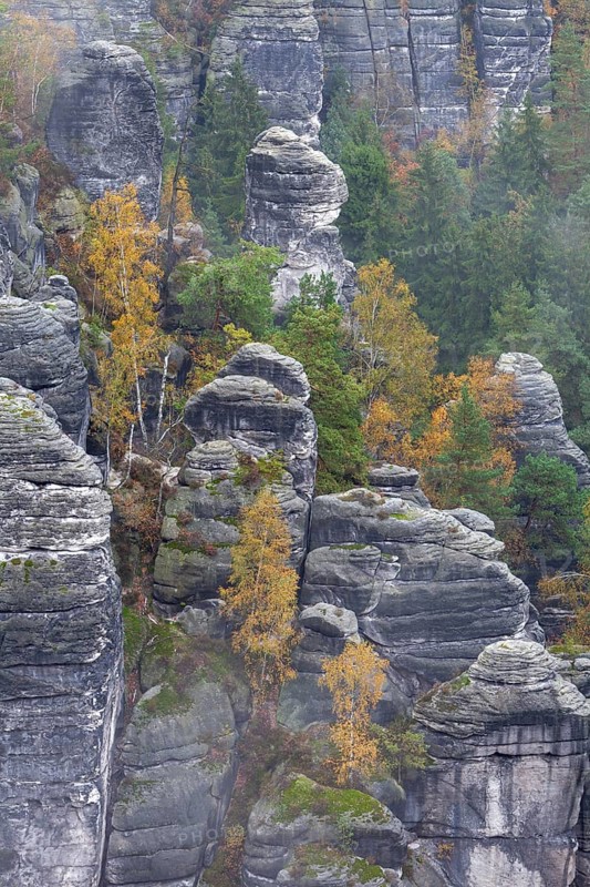 Sandstone rocks in the Bastei area