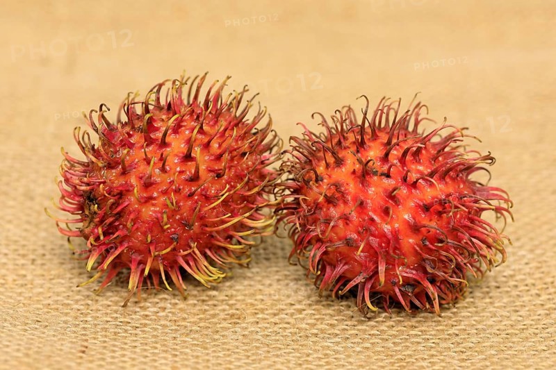 Rambutan (Nephelium lappaceum)