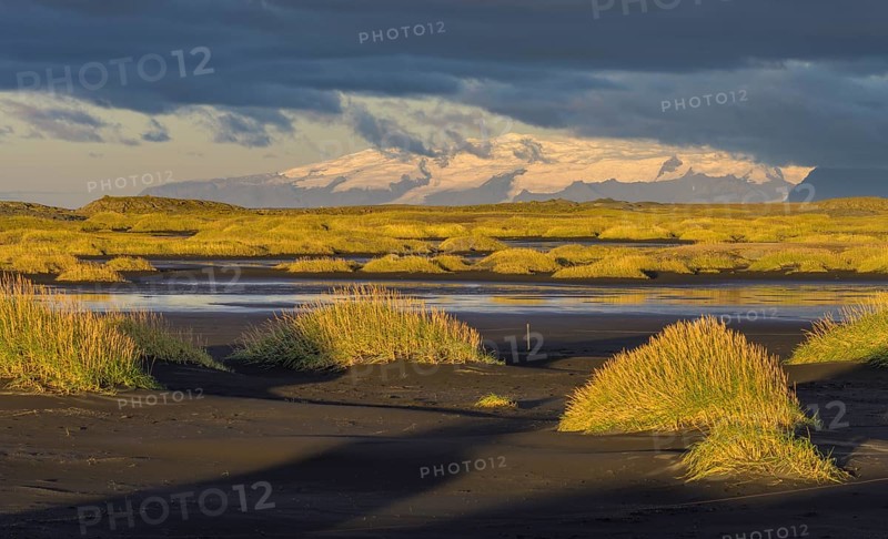 Dune landscape in the morning light