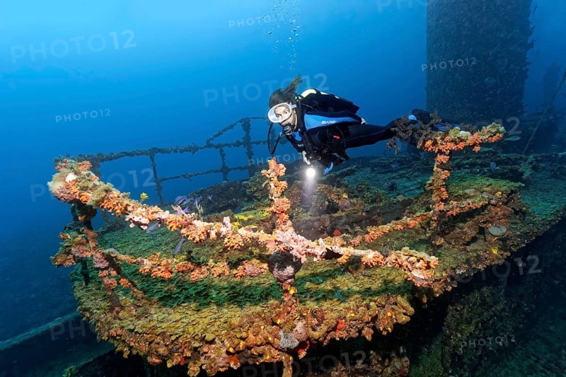 Diver at railing over bridge
