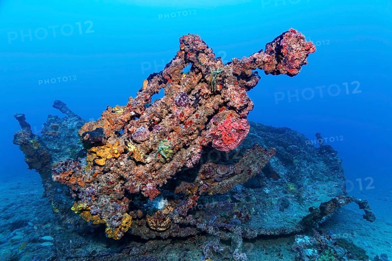 Wreckage and dinghy thickly encrusted with various sponges