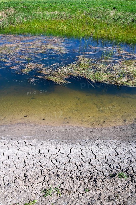 Lower Saxony Elbe floodplain