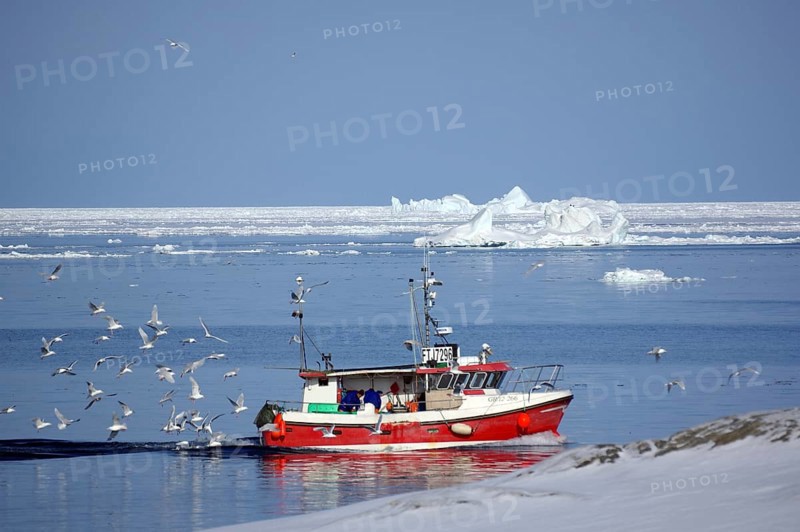Fishing boat between icebergs and ice floes