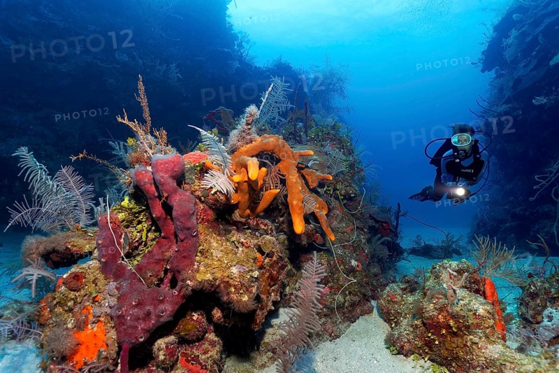 Diver swimming through reef cut and looking at patch reef with various sponges and corals