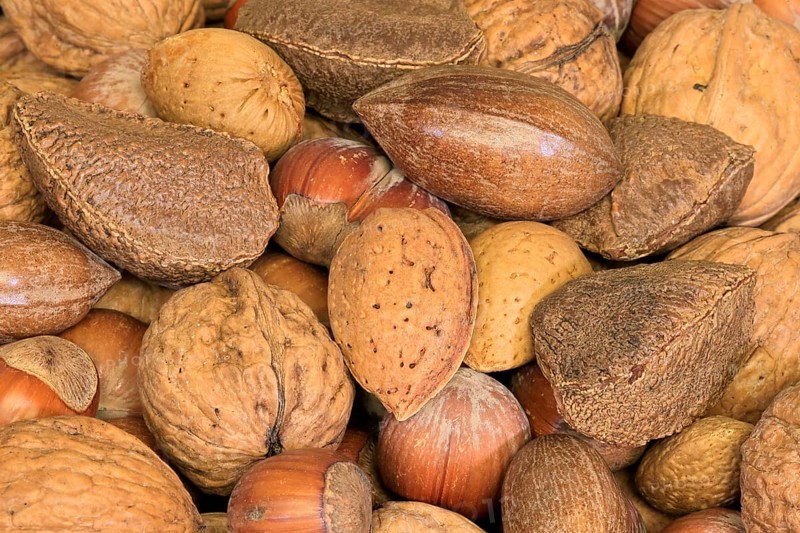 Nuts