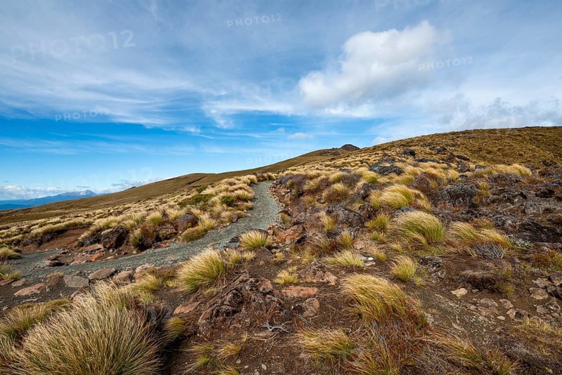 Hiking trail