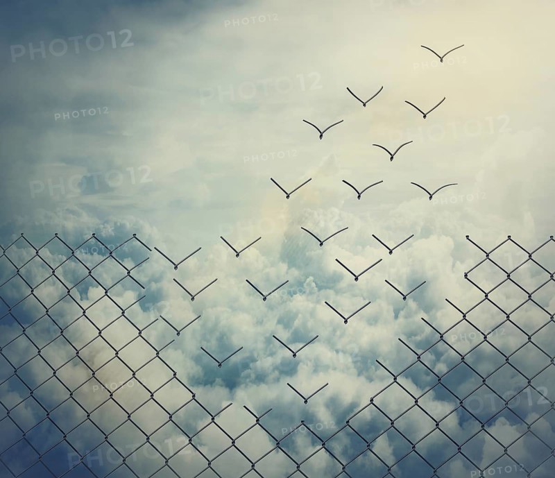 Surreal and magical escape as metallic wire mesh transforming into flying birds above the clouds. Overcoming obstacles together