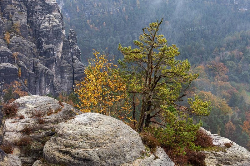 Sandstone rocks in the Bastei area