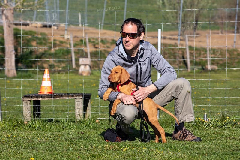 Vizsla puppy and owner in dog school