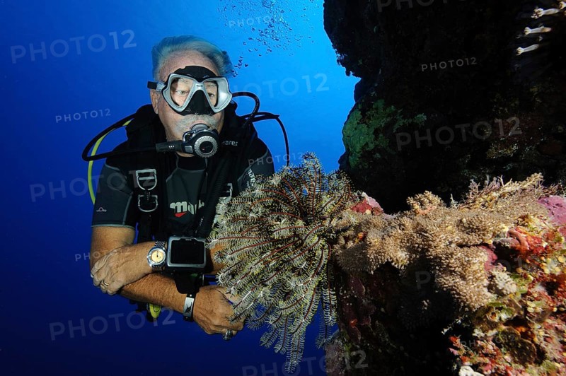 Older diver looking at feather star (Cenometra bella) on steep wall of coral reef