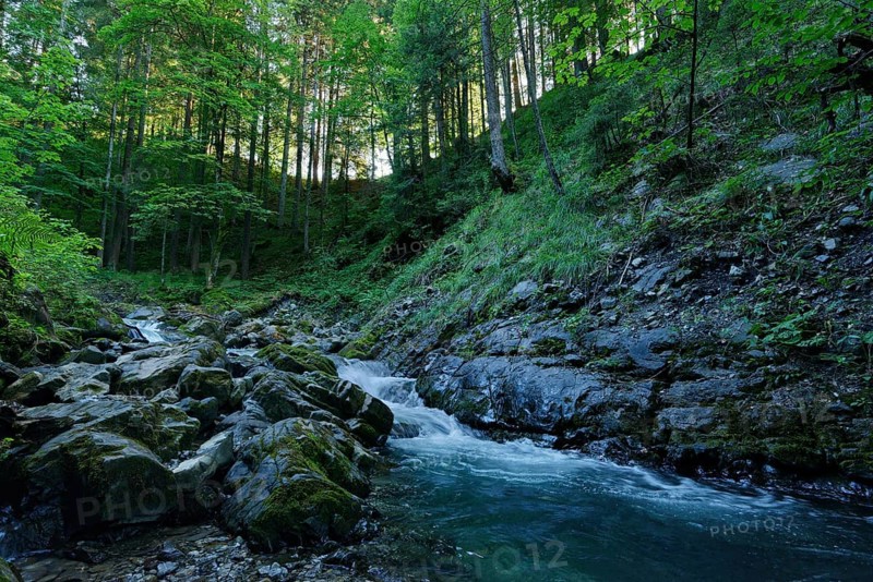 Gaisalpbach near Reichenbach