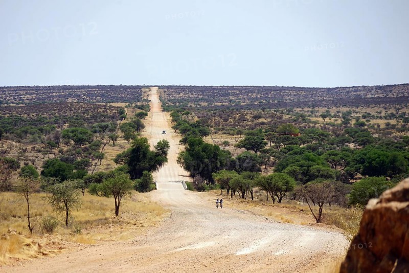 Road C26