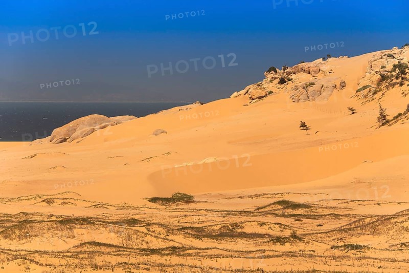 Sand dunes near Phan Rang