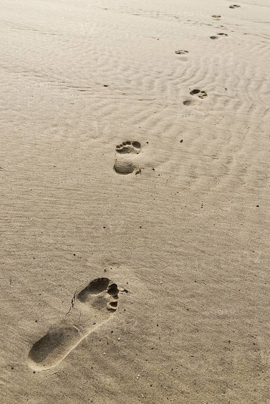 Footprints in the sand