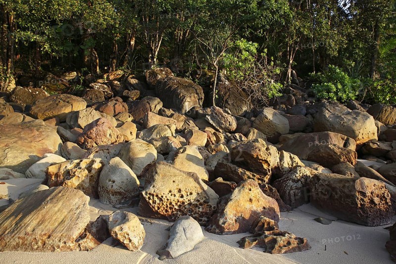 Beach with rocks and rainforest