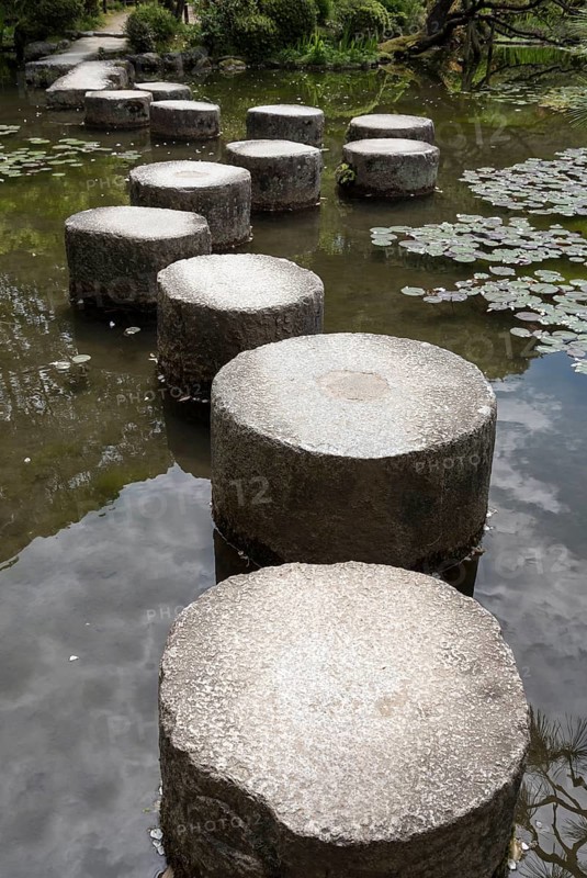 Stepping stones in the pond