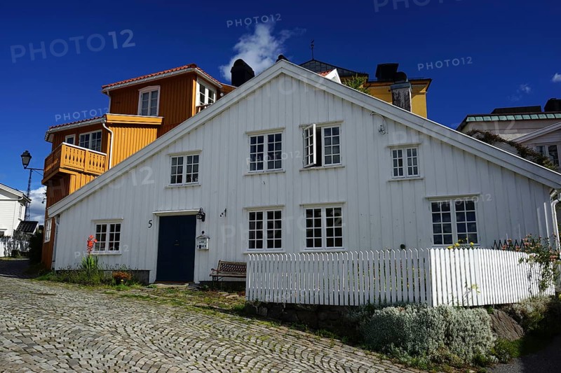 Wooden house