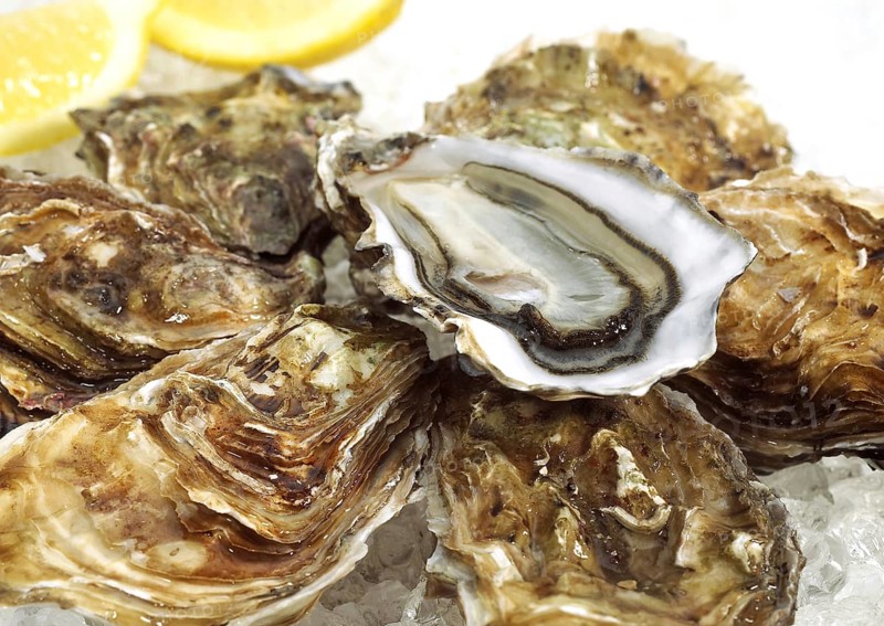 French Marennes d'Oleron oysters