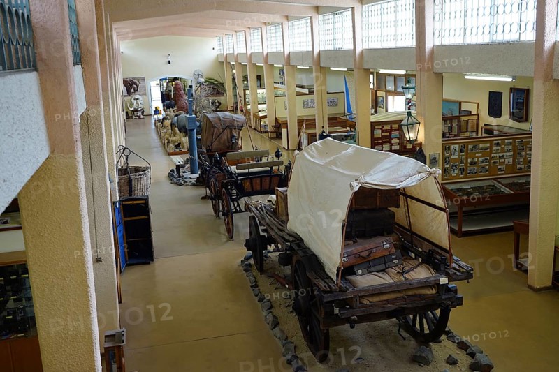 Oxen carts and other wagons