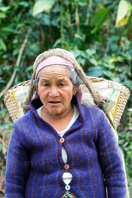 Old Nepalese woman carrying stones for road construction on her back