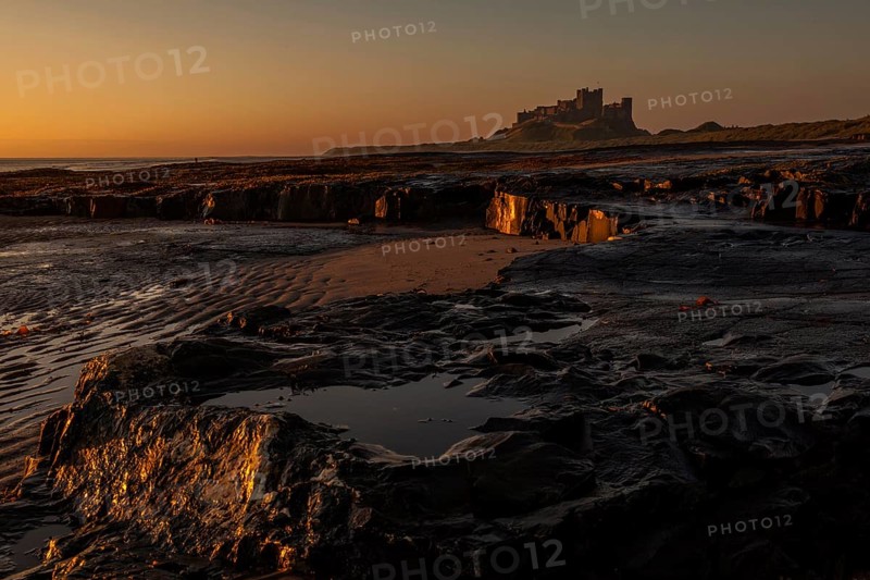Castle