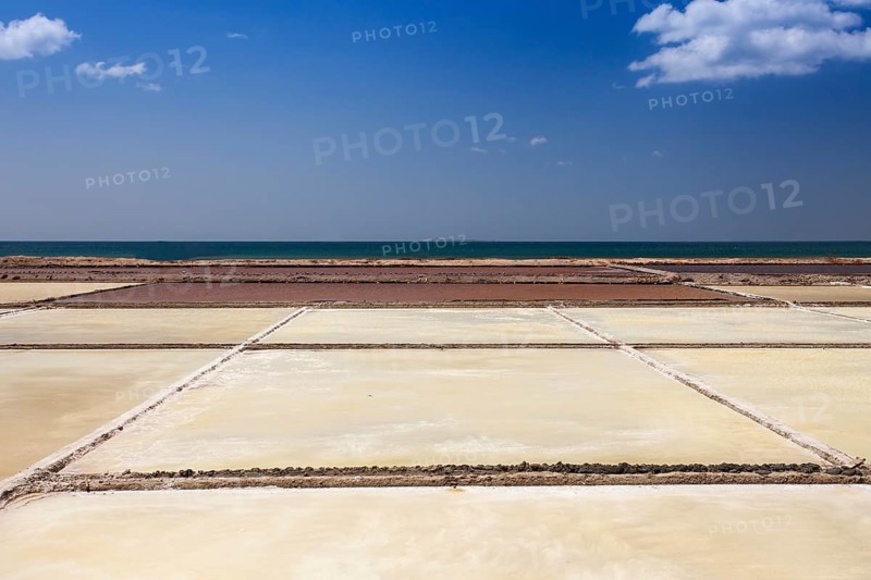 Salt fields for salt extraction
