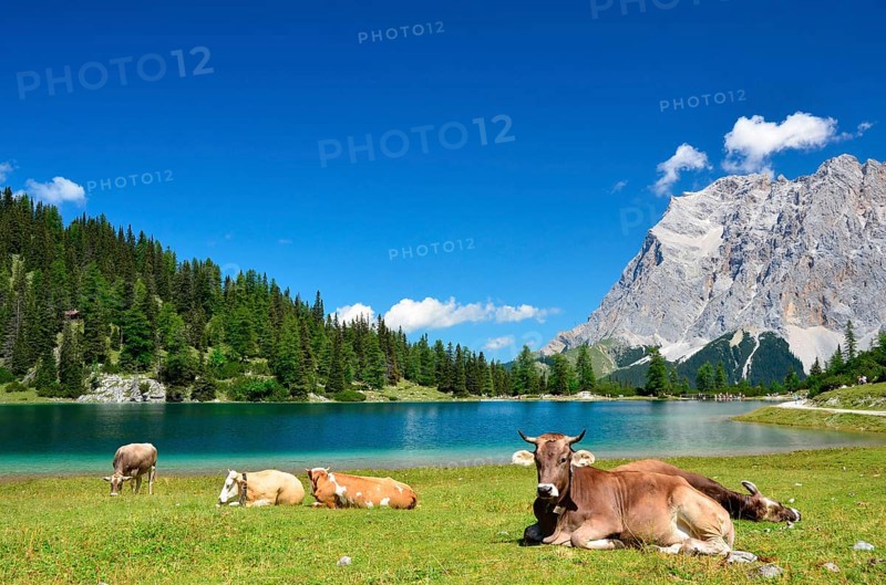 Mountain lake