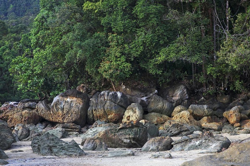 Beach with rocks and rainforest