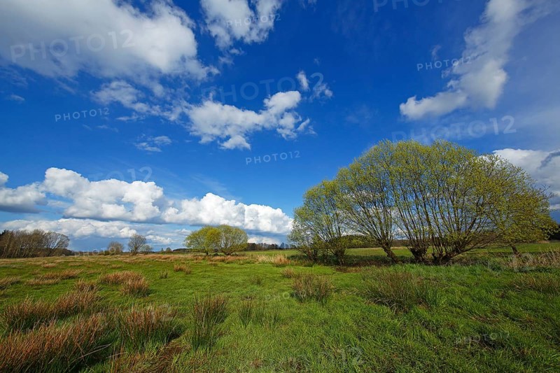 Nature reserve Oberalsterniederung