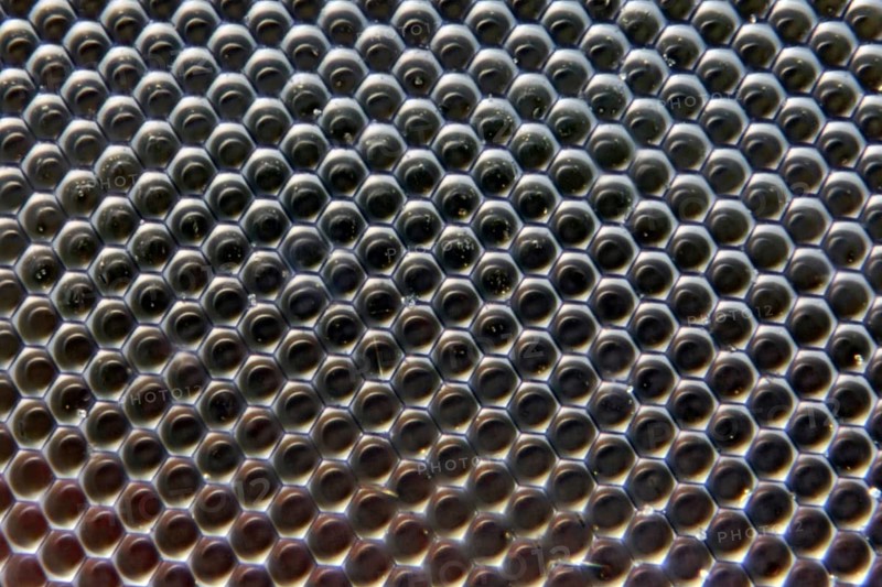 Comlex eye of a fly