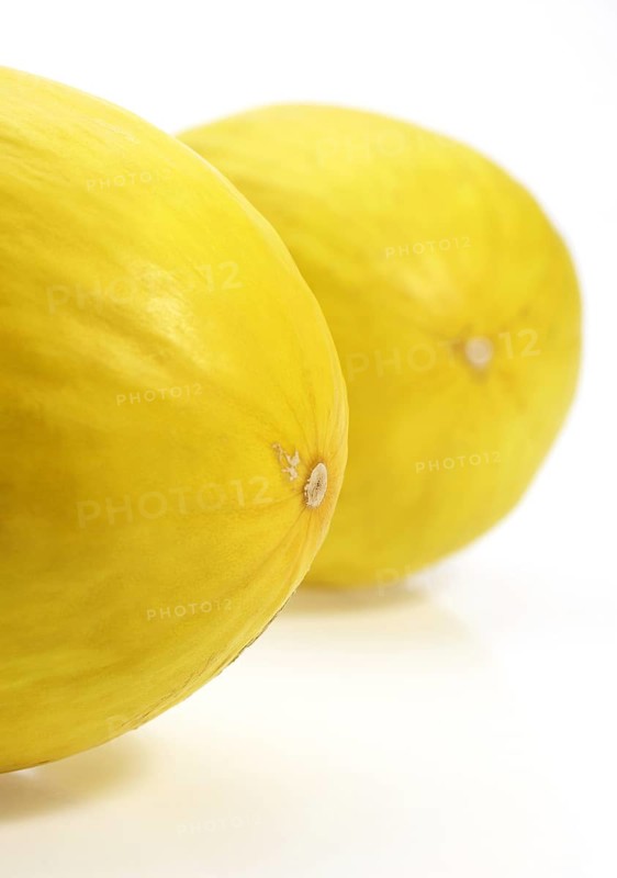 Yellow Spanish Melon