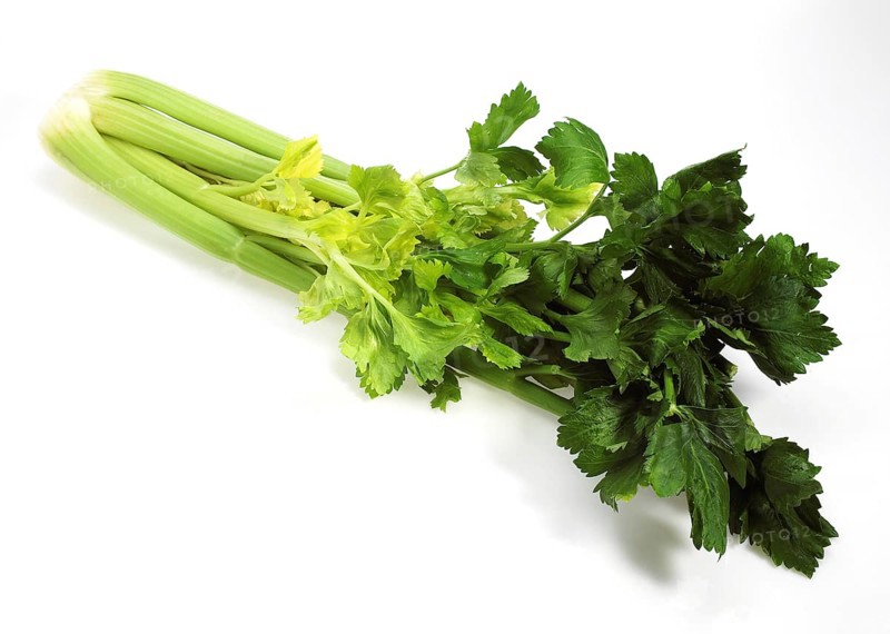 Celery