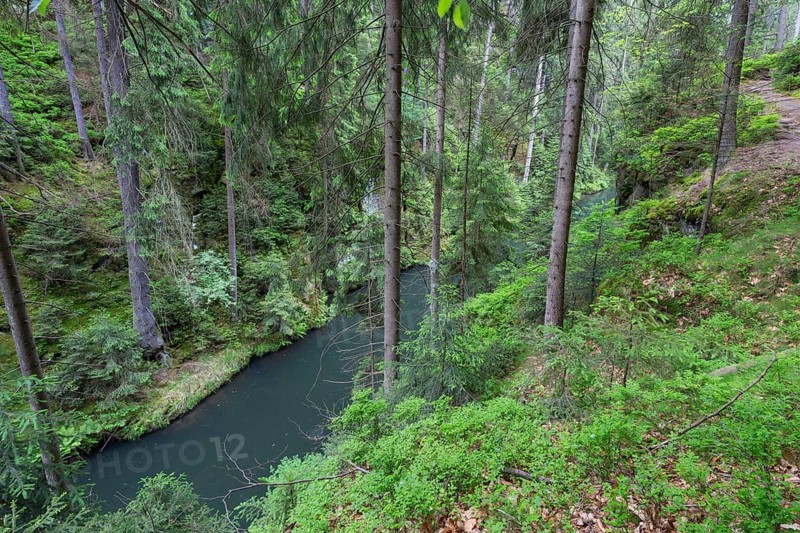 On high trail above Kirnitzschtal