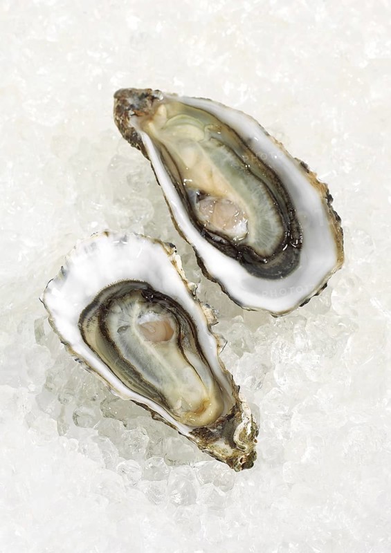 French Marennes d'Oleron oysters
