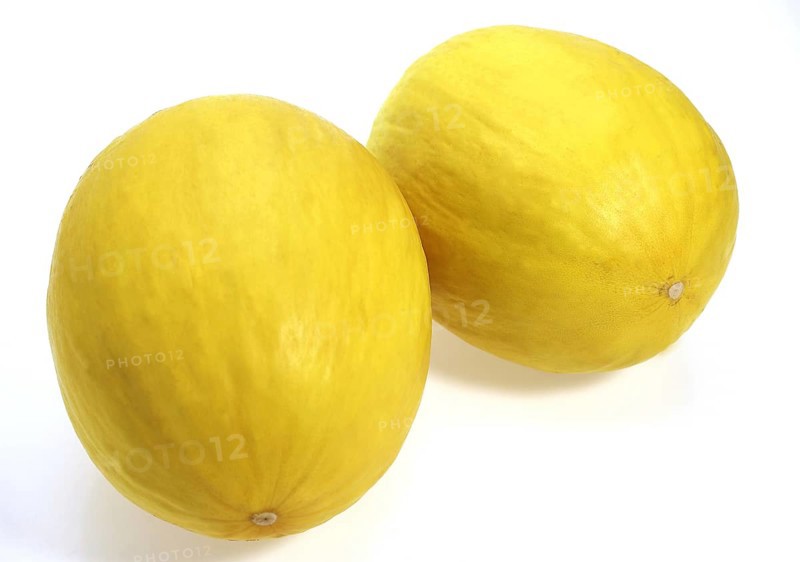 Yellow Spanish Melon