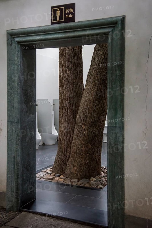 Men's toilet with trees