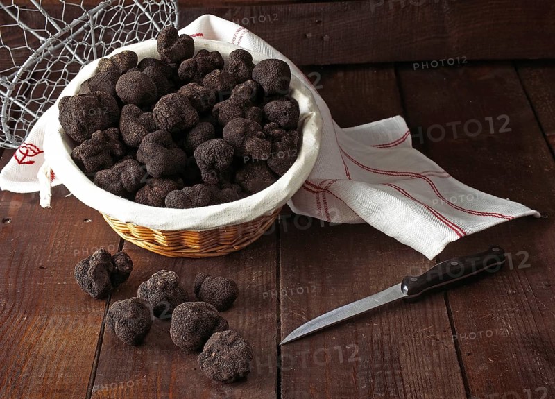 Perigord Truffle