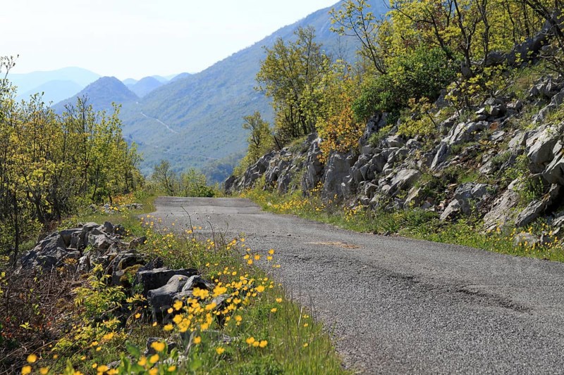 Road