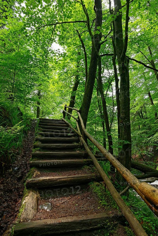 Wooden stairs at the Hoegne