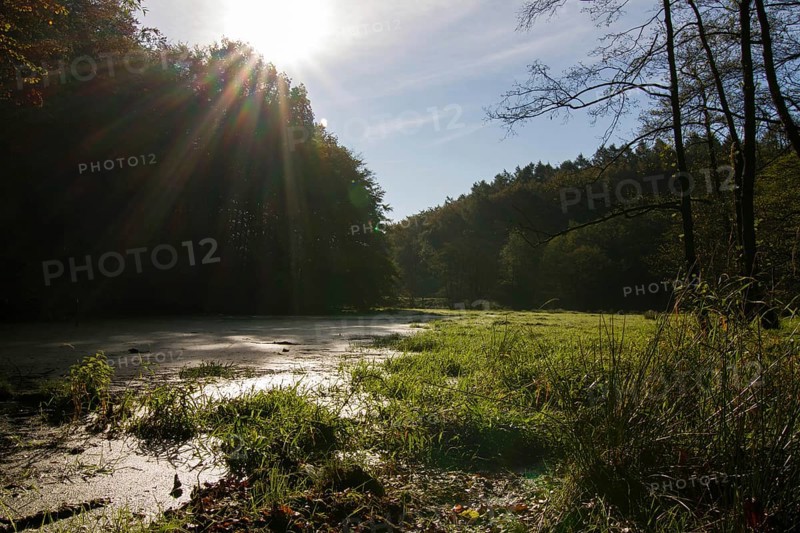 Jasmund National Park
