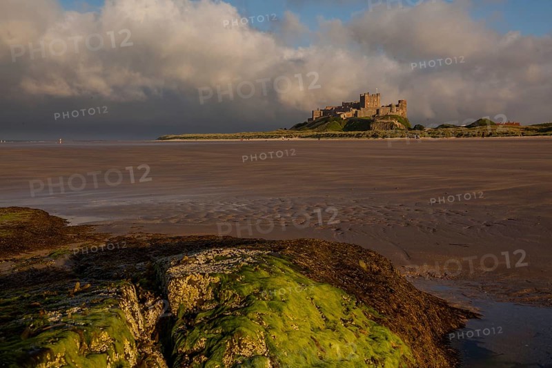 Castle