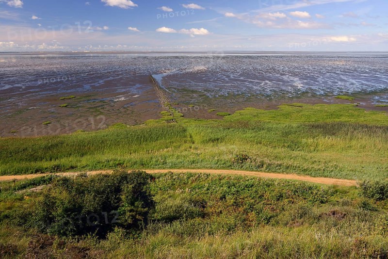 Wadden Sea at low tide at Morsum Cliff