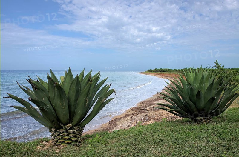 Caribbean Sea in Cuba