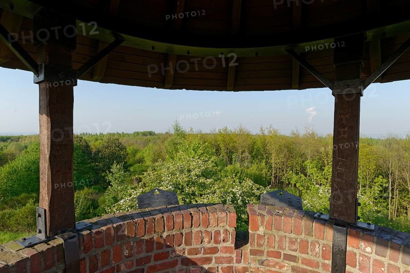 View from the Roman Tower