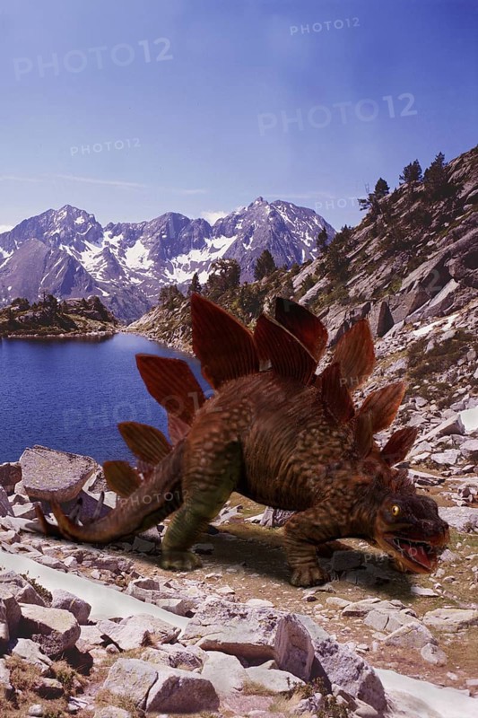 STEGOSAURUS