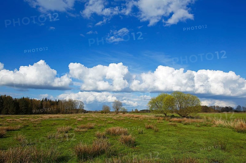 Nature reserve Oberalsterniederung