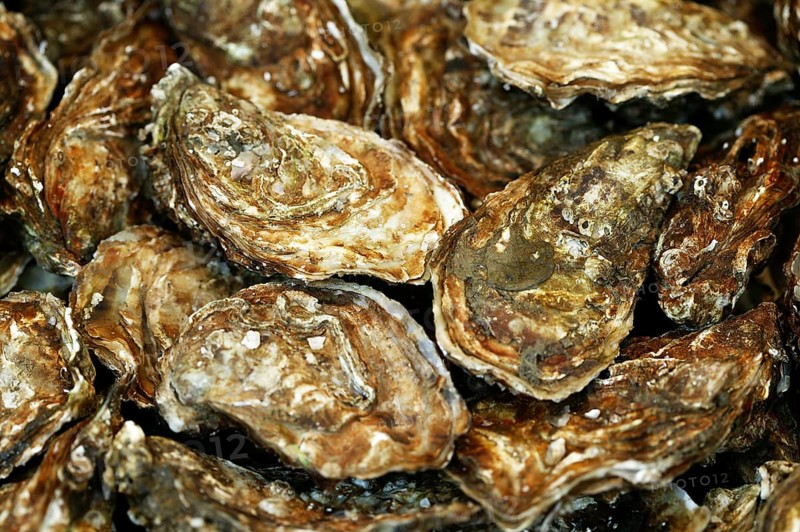French oyster