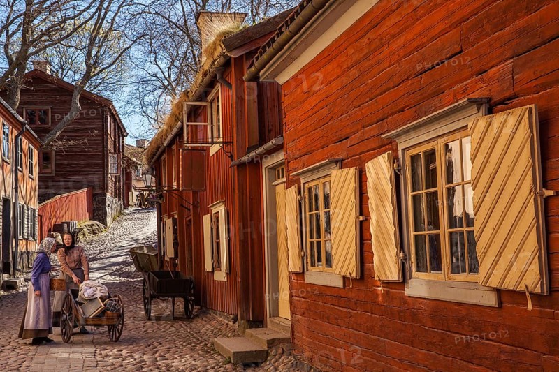 Skansen Museum