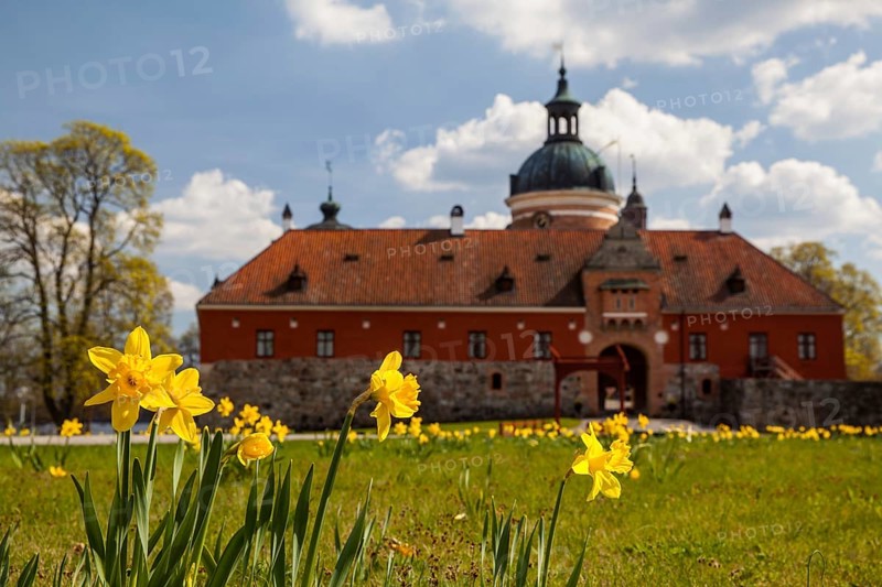 Castle